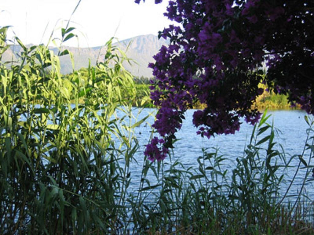 Villa La Terra De Luc Franschhoek Esterno foto